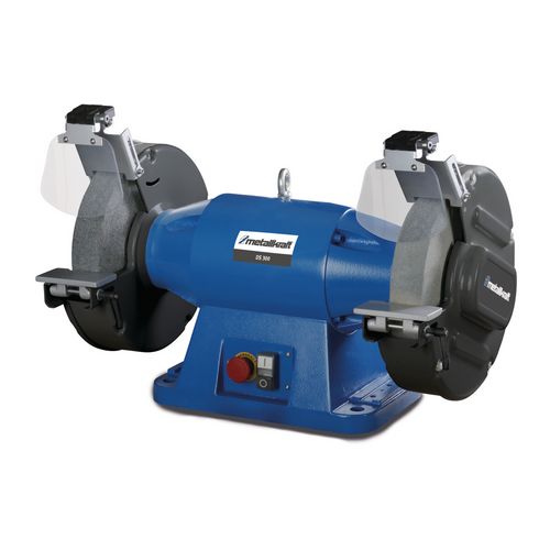 Productimage for DS 300